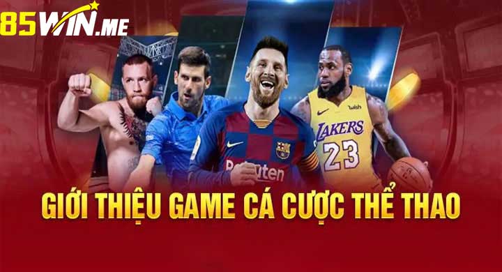 cá cược thể thao 85win